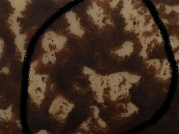 Запись на прием к гадалке в Ульяновске